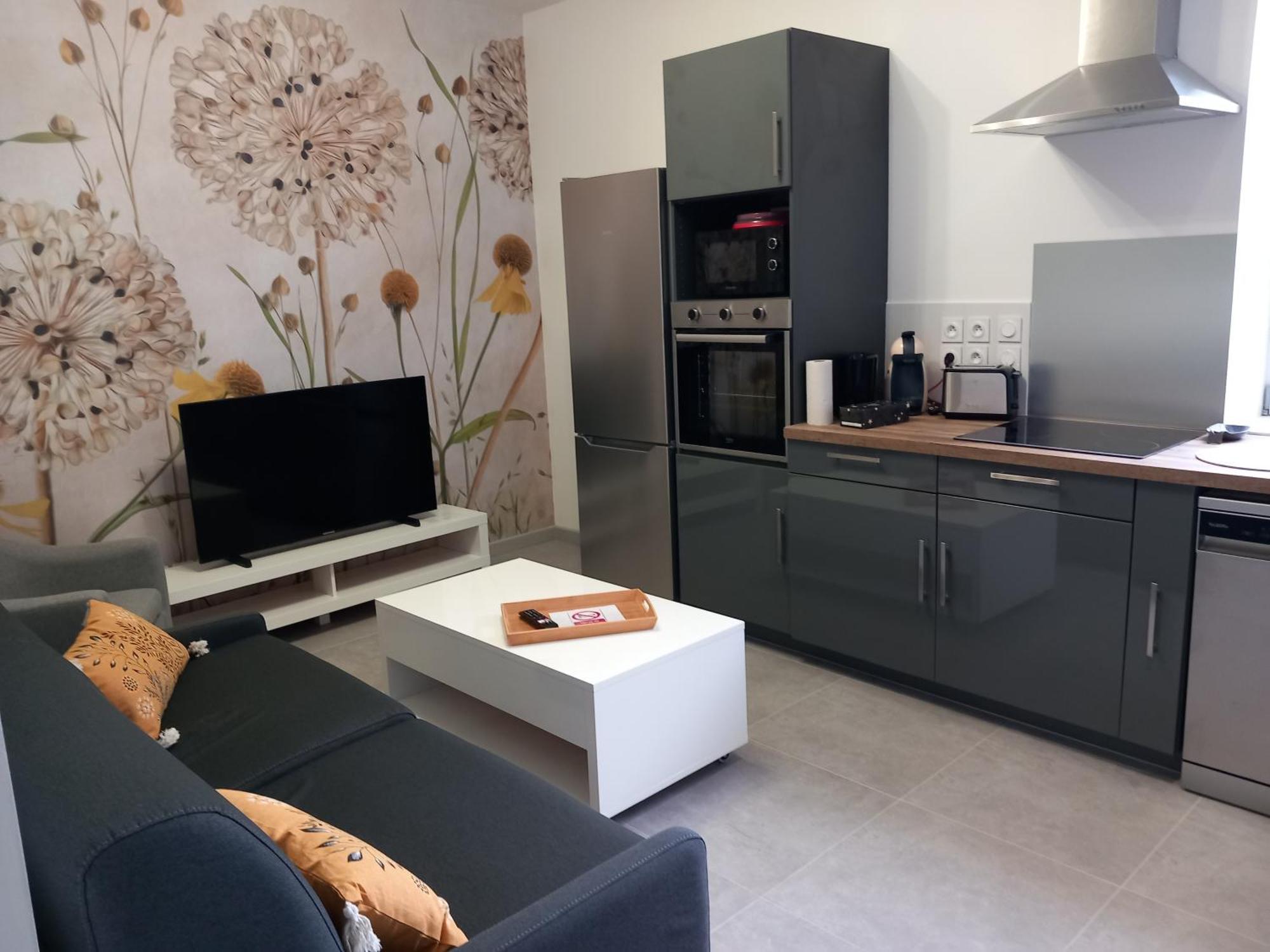 Appartement La Cour Fleurie, Confort Dijon